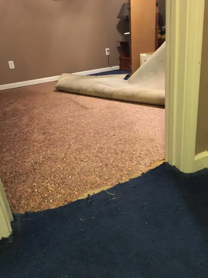 Carpet pad removal revealing water damage during Water Mitigation Services in Elkhart