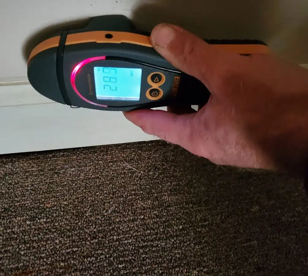 Moisture detection at baseboard during Burst Pipe Cleanup in Elkhart